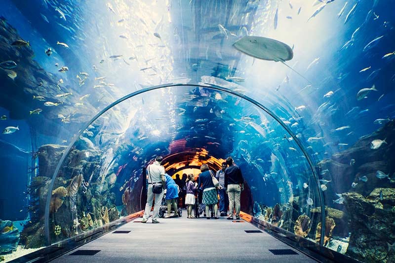 Dubai-Mall-Aquarium
